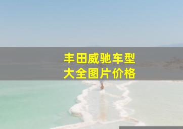 丰田威驰车型大全图片价格