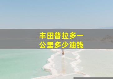 丰田普拉多一公里多少油钱