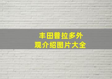 丰田普拉多外观介绍图片大全