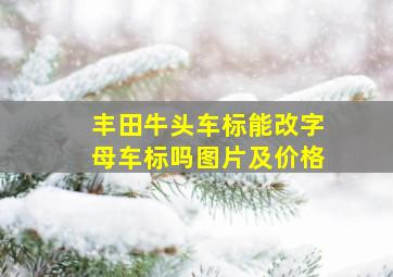 丰田牛头车标能改字母车标吗图片及价格