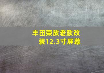 丰田荣放老款改装12.3寸屏幕