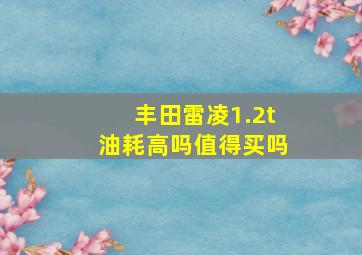 丰田雷凌1.2t油耗高吗值得买吗