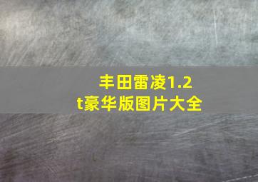 丰田雷凌1.2t豪华版图片大全