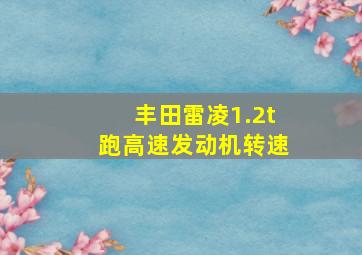 丰田雷凌1.2t跑高速发动机转速