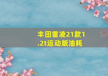 丰田雷凌21款1.2t运动版油耗