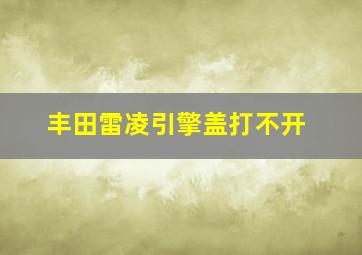 丰田雷凌引擎盖打不开