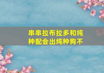 串串拉布拉多和纯种配会出纯种狗不