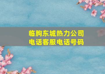 临朐东城热力公司电话客服电话号码