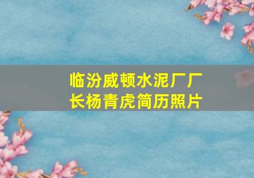 临汾威顿水泥厂厂长杨青虎简历照片