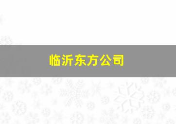 临沂东方公司