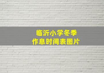 临沂小学冬季作息时间表图片