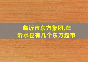 临沂市东方集团,在沂水县有几个东方超市