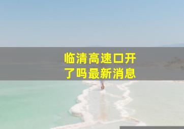 临清高速口开了吗最新消息