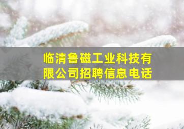 临清鲁磁工业科技有限公司招聘信息电话