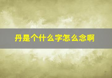 丹是个什么字怎么念啊