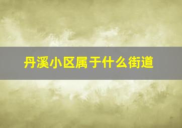 丹溪小区属于什么街道