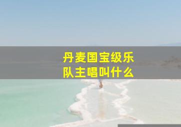 丹麦国宝级乐队主唱叫什么