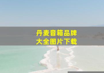 丹麦音箱品牌大全图片下载