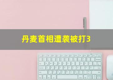 丹麦首相遭袭被打3