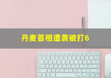 丹麦首相遭袭被打6