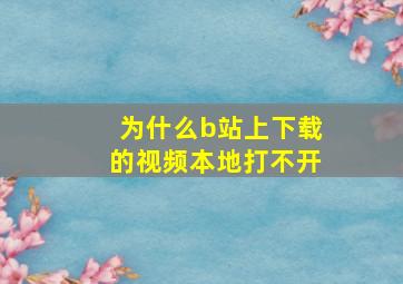 为什么b站上下载的视频本地打不开