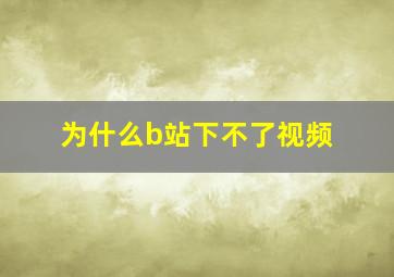 为什么b站下不了视频