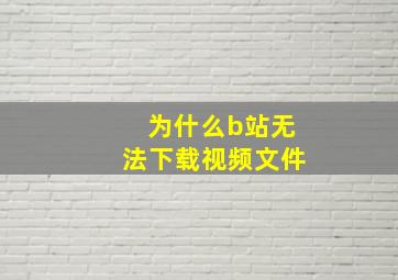 为什么b站无法下载视频文件