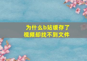 为什么b站缓存了视频却找不到文件