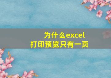 为什么excel打印预览只有一页