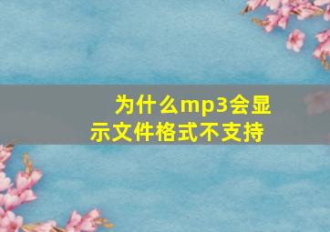 为什么mp3会显示文件格式不支持