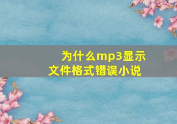 为什么mp3显示文件格式错误小说