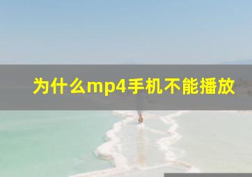 为什么mp4手机不能播放