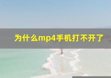 为什么mp4手机打不开了