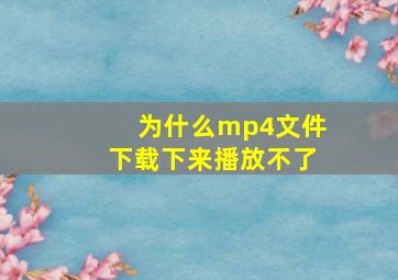 为什么mp4文件下载下来播放不了