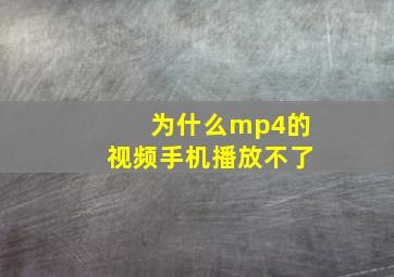 为什么mp4的视频手机播放不了