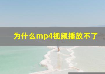 为什么mp4视频播放不了