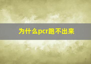 为什么pcr跑不出来