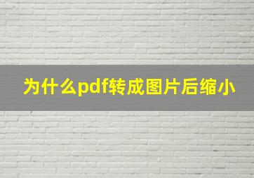 为什么pdf转成图片后缩小