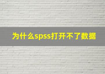 为什么spss打开不了数据