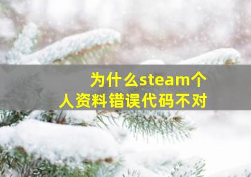 为什么steam个人资料错误代码不对