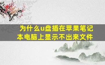 为什么u盘插在苹果笔记本电脑上显示不出来文件