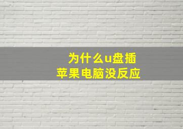 为什么u盘插苹果电脑没反应