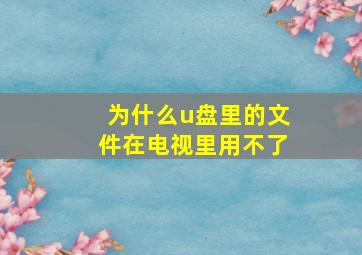 为什么u盘里的文件在电视里用不了