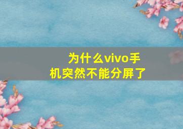 为什么vivo手机突然不能分屏了