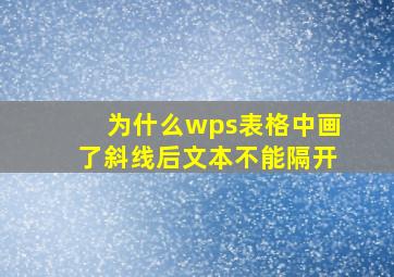 为什么wps表格中画了斜线后文本不能隔开