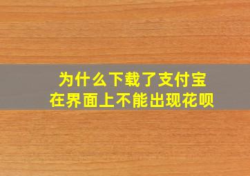 为什么下载了支付宝在界面上不能出现花呗