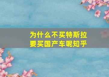 为什么不买特斯拉要买国产车呢知乎