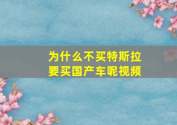 为什么不买特斯拉要买国产车呢视频