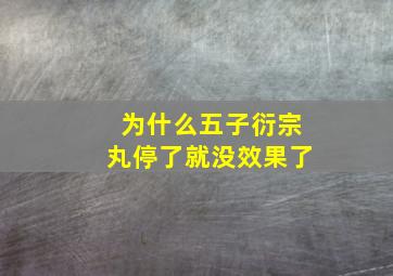 为什么五子衍宗丸停了就没效果了