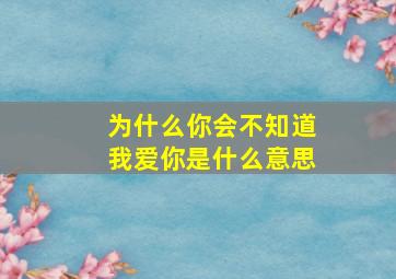 为什么你会不知道我爱你是什么意思